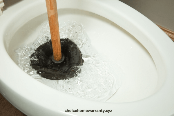 Unclog a Toilet with a Plunger with Poop