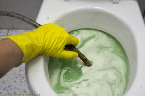 Unclog a Toilet Without a Plunger with Poop