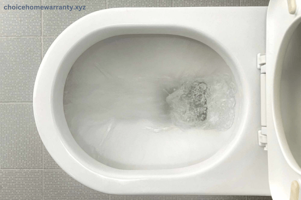 How to Unclog an Overflowing Toilet